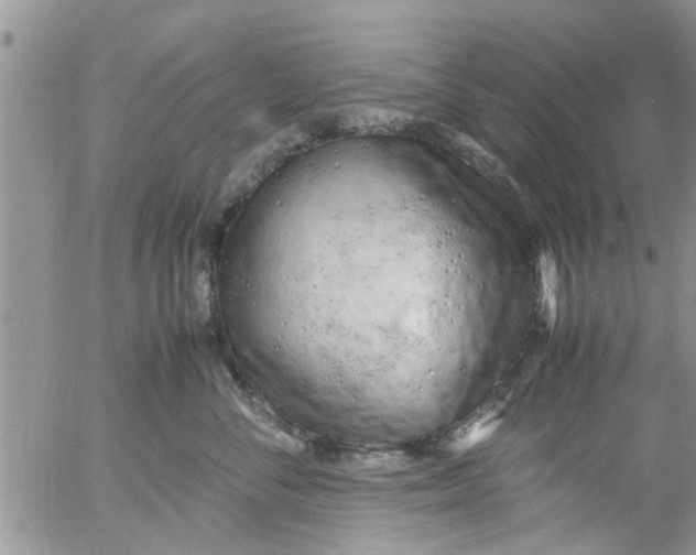 X0000053090716200508012032