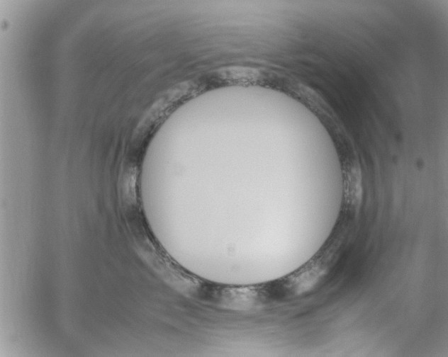 X0000053090717200508012032