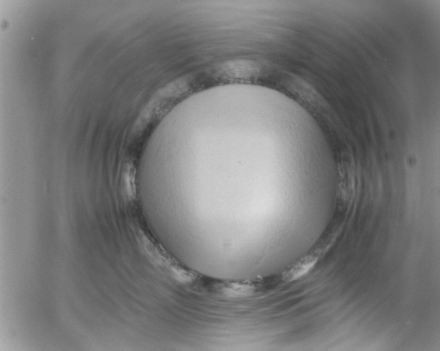 X0000053090718200508012032