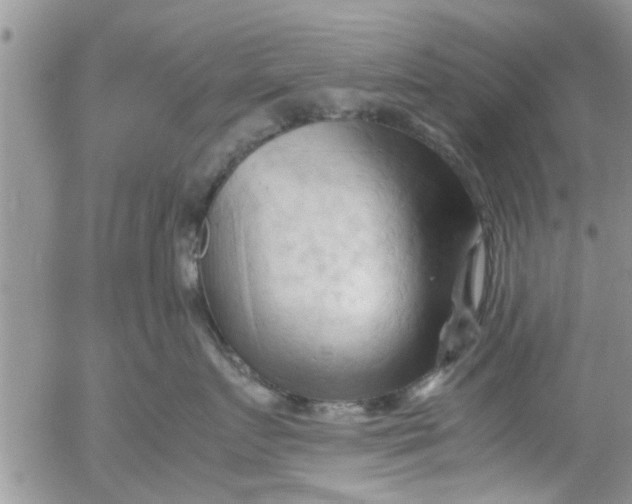 X0000053090719200508012032