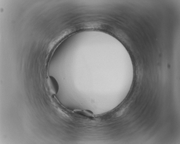 X0000053090721200508012031