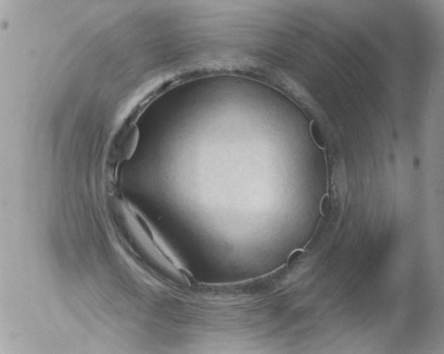 X0000053090722200508012031