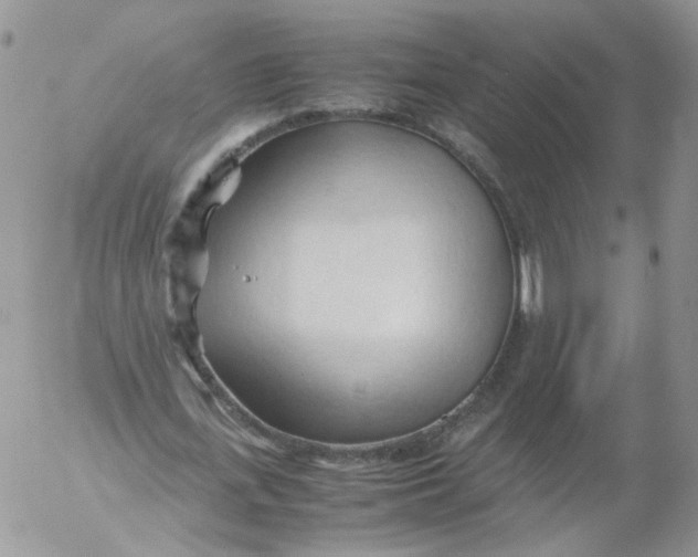 X0000053090723200508012031