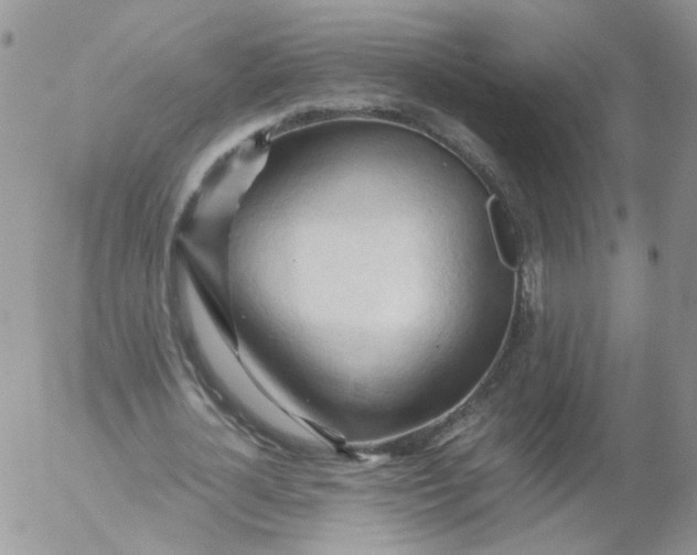 X0000053090724200508012031