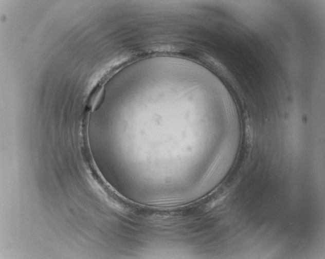 X0000053090725200508012032