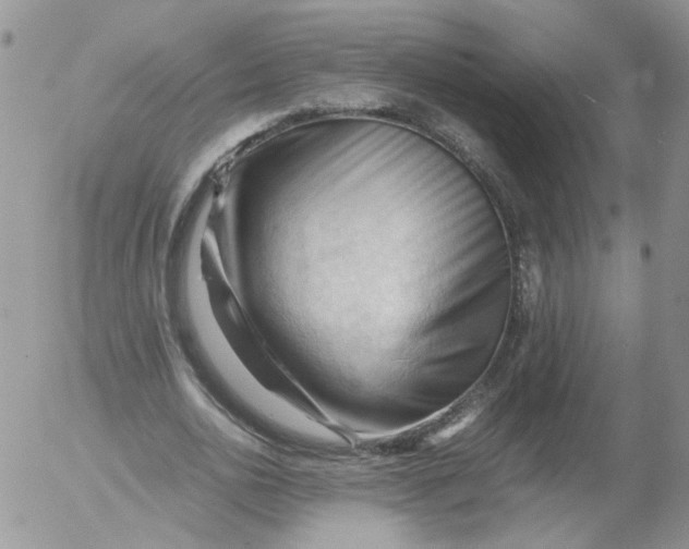 X0000053090726200508012032