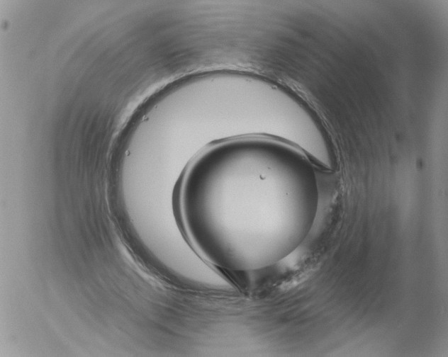 X0000053090728200508012032