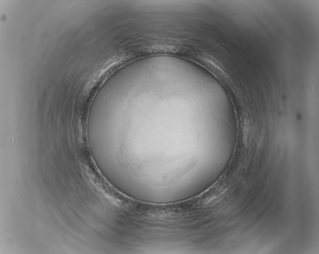 X0000053090729200508012032