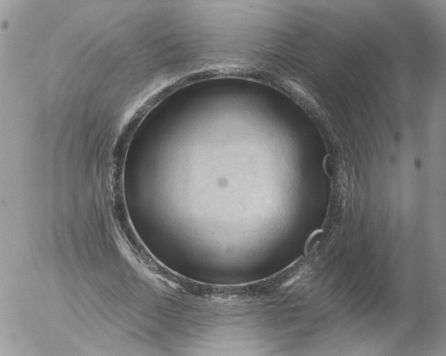 X0000053090730200508012032