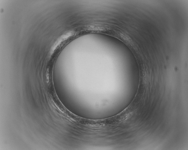 X0000053090731200508012032