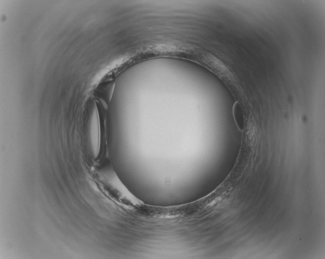 X0000053090732200508012032