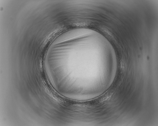 X0000053090733200508012032