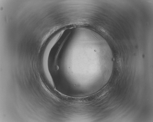 X0000053090734200508012032