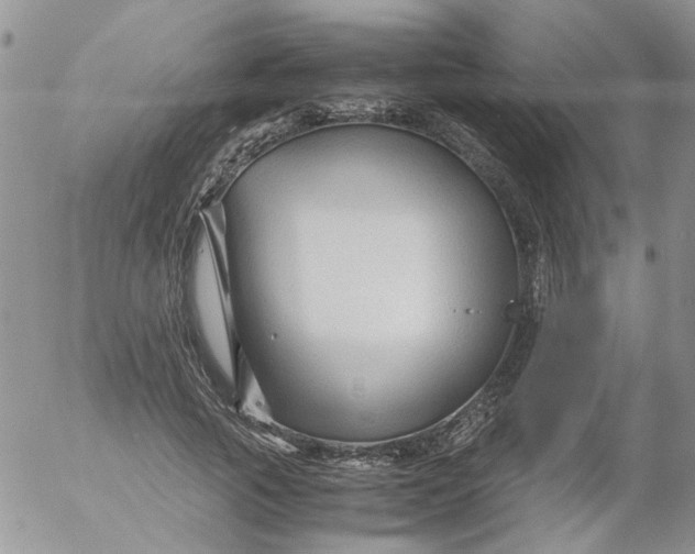 X0000053090737200508012032