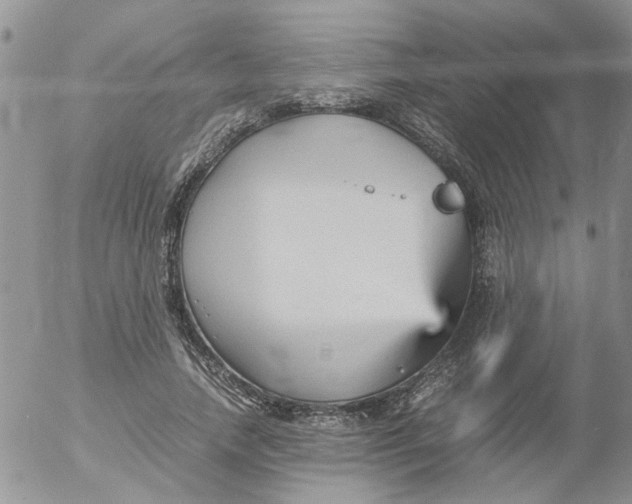 X0000053090738200508012032