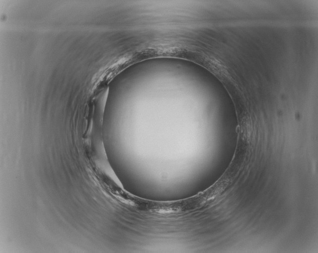 X0000053090740200508012032