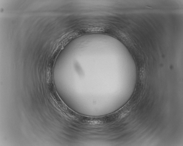 X0000053090741200508012032