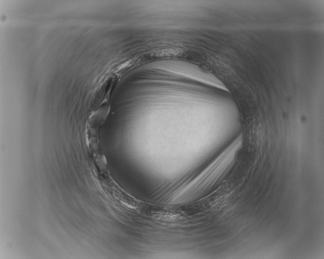 X0000053090743200508012032