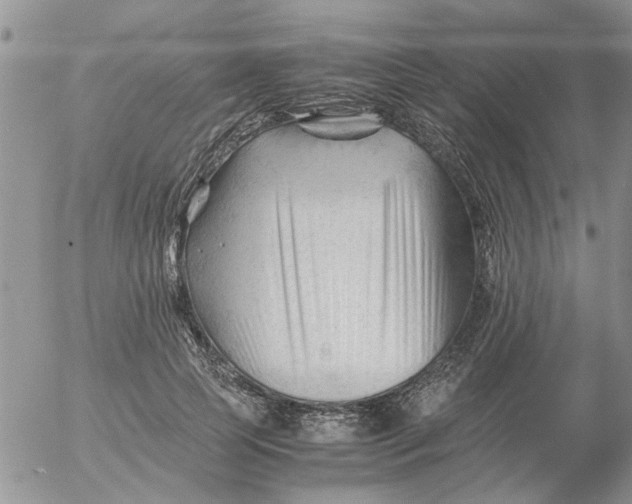 X0000053090745200508012032