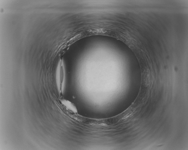 X0000053090747200508012032