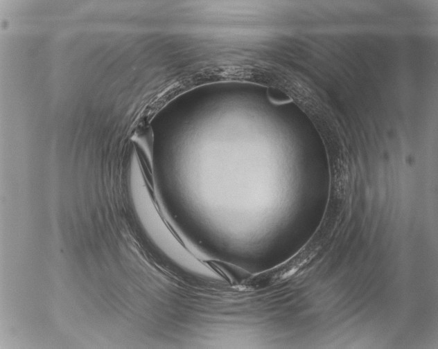 X0000053090748200508012032