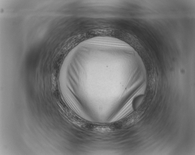 X0000053090749200508012032