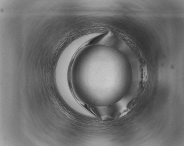 X0000053090750200508012032