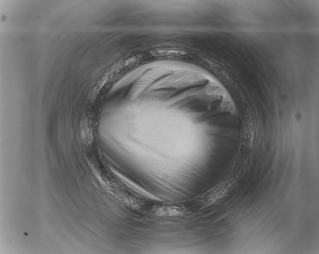 X0000053090751200508012032