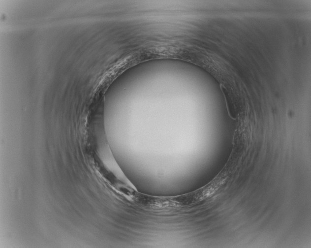 X0000053090752200508012032