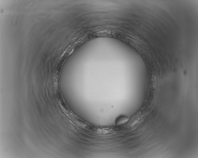 X0000053090753200508012032