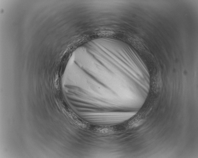 X0000053090755200508012032