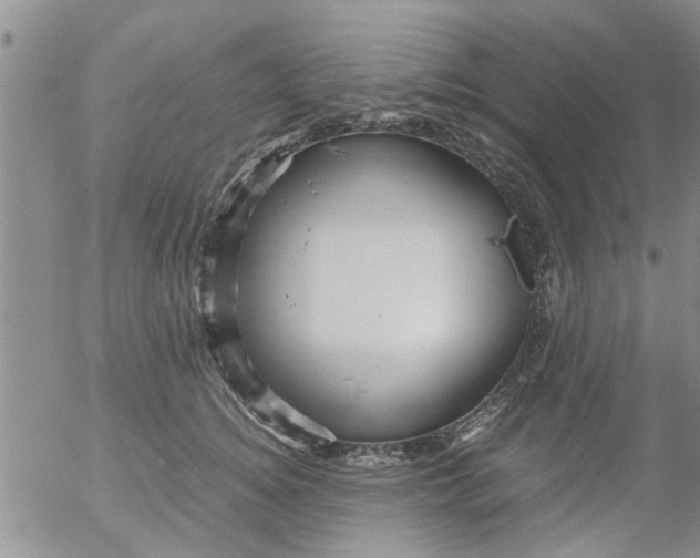 X0000053090756200508012032