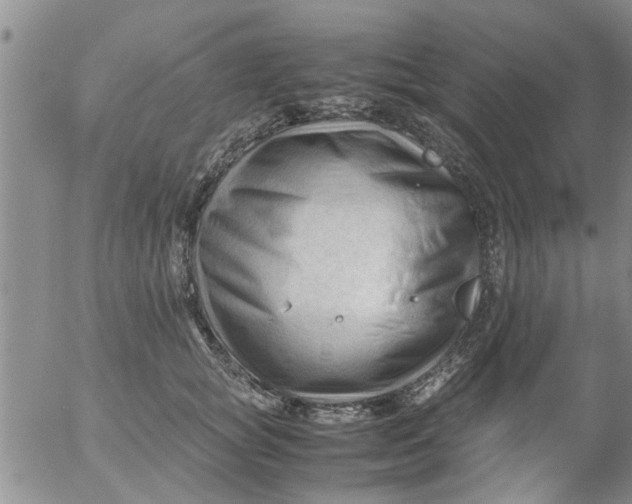 X0000053090757200508012032