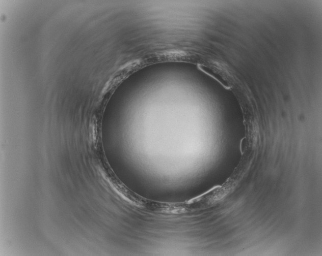 X0000053090760200508012032