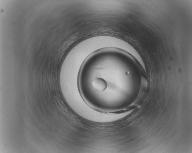 X0000053090762200508012032