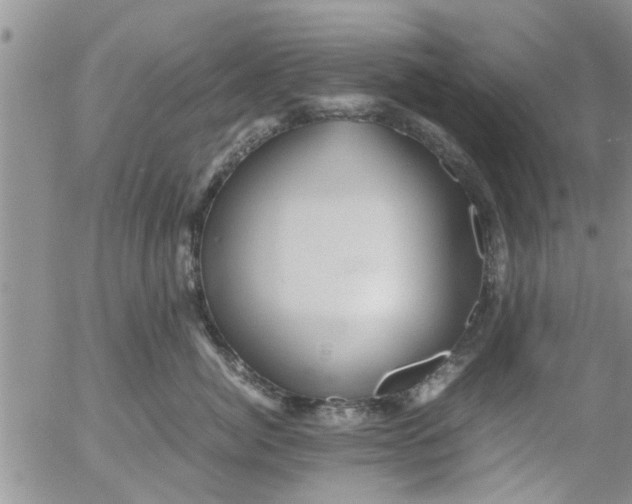 X0000053090764200508012032