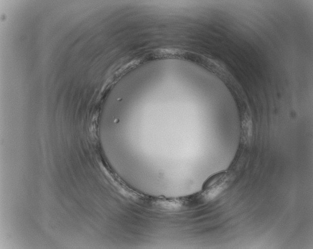 X0000053090765200508012032