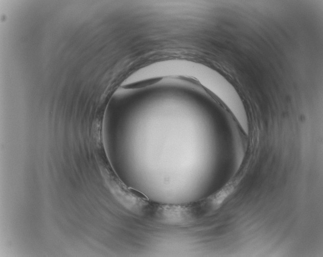 X0000053090766200508012032