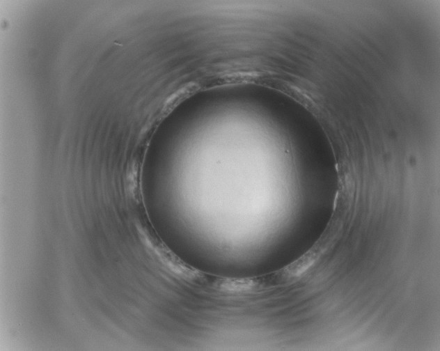 X0000053090767200508012032