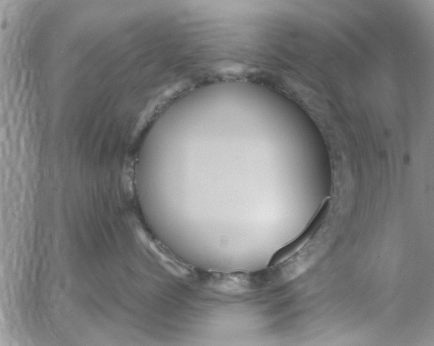 X0000053090768200508012032