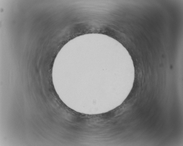 X0000053090769200508012031