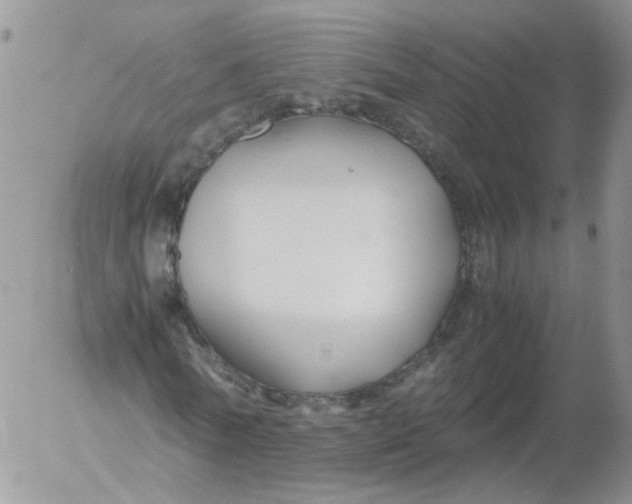 X0000053090770200508012031