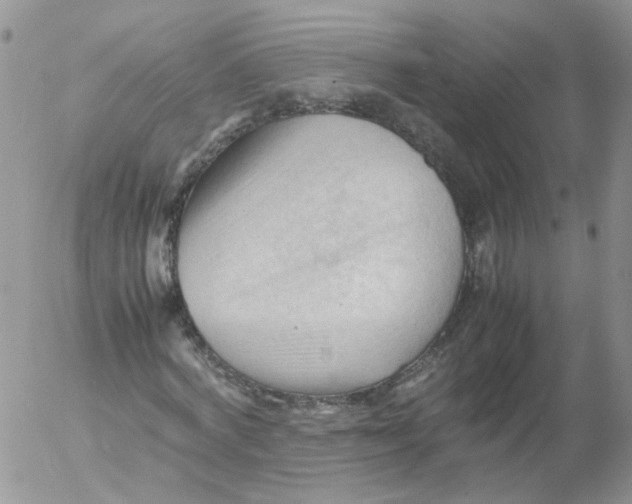 X0000053090772200508012031