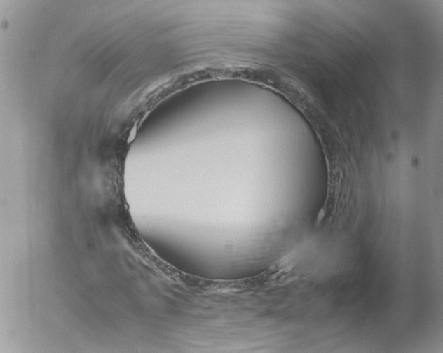 X0000053090773200508012031