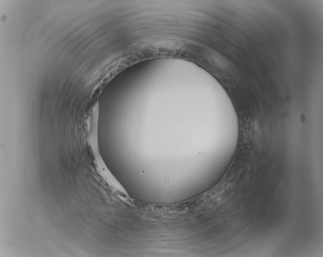 X0000053090774200508012031