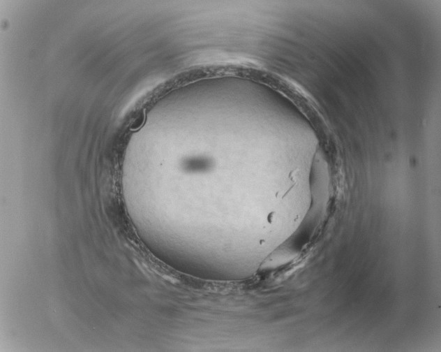 X0000053090775200508012031