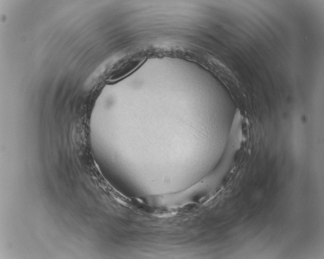 X0000053090776200508012031