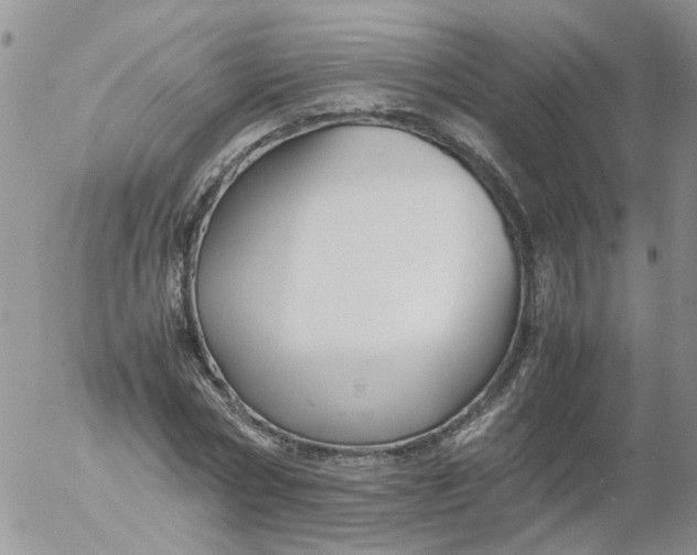 X0000053090778200508012031