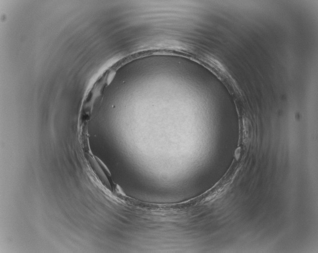 X0000053090780200508012031