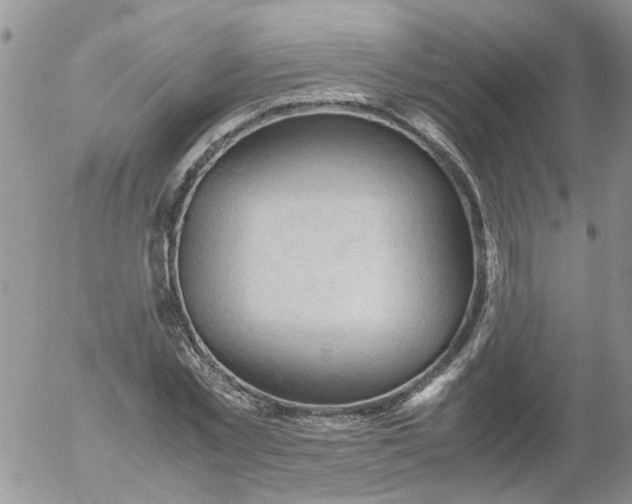 X0000053090781200508012031